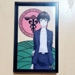 PSYCHO-PASS サイコパス 花札柄 アクリルブロック 常守朱