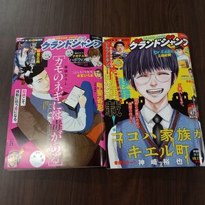 グランドジャンプ 2025年11月5日号 (集英社)NO.21・22 2冊セット