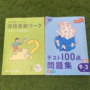 未記入 未使用 進研ゼミ 小学講座 国語算数ワーク テスト100点問題集 2冊セット
