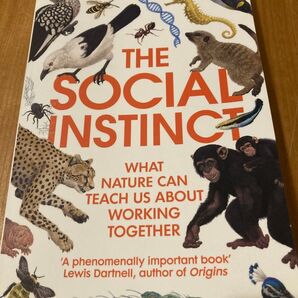 The Social Instinct / Nichola Raihani