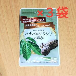 【新品】和漢の森 バナバ&サラシアの恵み サプリメント 【30日分×3袋】 13時発送 血糖値対策
