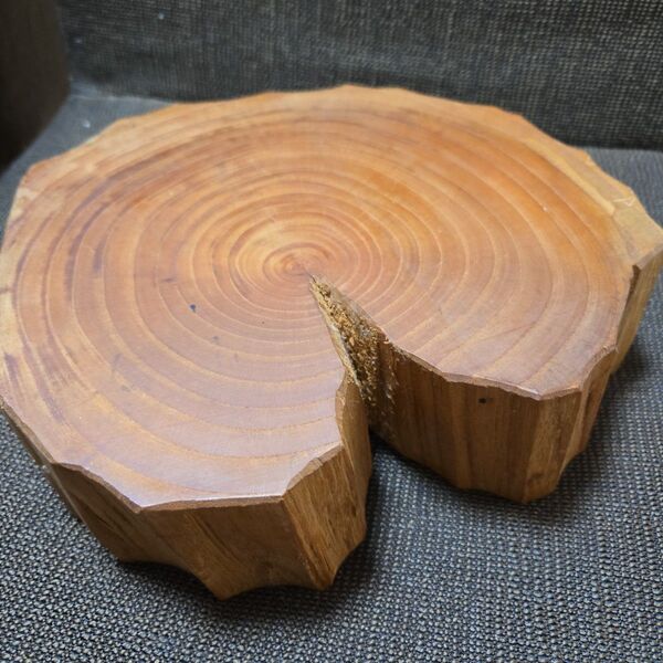 天然木 切り株プレート インテリア・ディスプレイ用(直径約22cm)