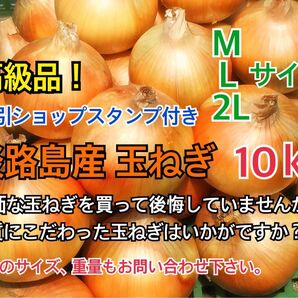 割引ショップスタンプ付 10kg 最高品質 淡路島産 玉ねぎ 送料無料