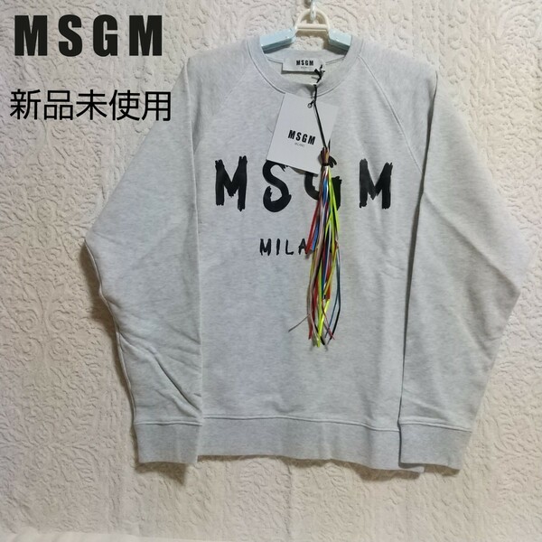 MSGM BRUSHSTROKE LOGO スウェット 2640MM104 