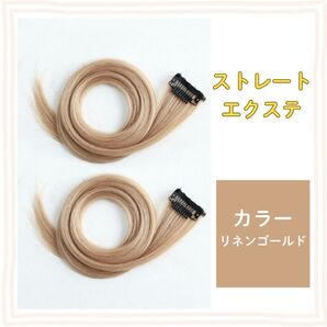 エクステ ストレート 2本セット 全10色 簡単 ワンタッチ ポイント インナー カラー ゴールド 金 ハロウィン コスプレ