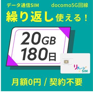 11枚専用 docomo回線 データ通信 繰り返し使える