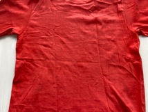 70s ビンテージ Tシャツ WISCONSIN　ウィスコンシン大学 s アライグマ / Hanes_画像8