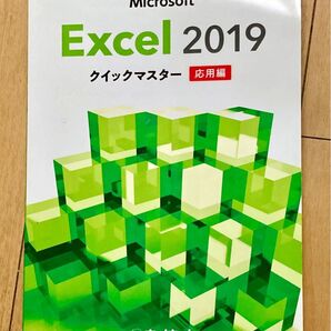 Microsoft Excel 2019 クイックマスター 応用編