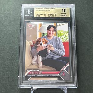 【BGS10】大谷翔平&デコピン初登場 アリーグMVP受賞記念2023 Topps now Shohei Ohtani OS-19