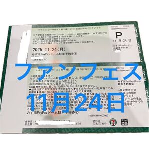みずほPayPayドーム無料駐車券 11月24日