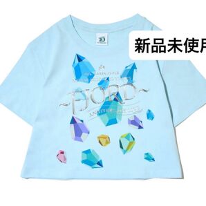 ミセスグリーンアップル ミセス Tシャツ 半袖 クロップド フィヨルド