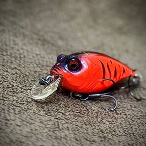 ▽6cc グリフォン