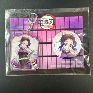 鬼滅の刃 柱稽古編 胡蝶しのぶ アクリルキーホルダー 缶バッジ セット