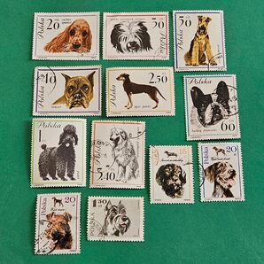 使用済み ポーランド『犬切手』12枚