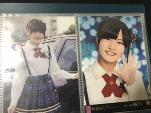 谷川聖 AKB48 チーム8 希望的リフレイン 通常盤 生写真 A-13