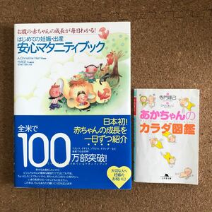 はじめての妊娠・出産安心マタニティブック お腹の赤ちゃんの成長が毎日わかる！ 