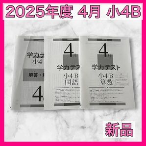 育伸社 学力テスト 2025年 4月 小4 B 2科 解答解説 国語 算数