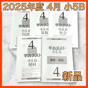 育伸社 学力テスト 2025年 4月 小5 B 4科 解答解説 国 社 算 理