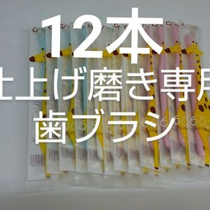 仕上げ磨き専用歯ブラシ Ci602 ふつう 12本セット(Ci603やわらかめ在庫少しあります