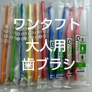 ワンタフトレギュラーふつう4本大人シュシュαふつう6本合計10本