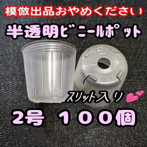 2号6cm スリット入り半透明ビニールポット 100個 プラ鉢 ポリポット 多肉植物 アガベ プレステラ