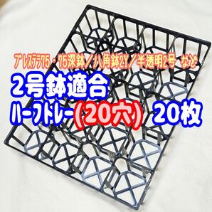【システムトレー:ハーフ】20枚! 2号鉢相当 プラ鉢 スリット鉢 プレステラ 多肉植物 アガベ 八角鉢2Y対応可