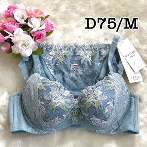 D75/M◆天使のブラ0112 レッドレーベル バイトリンプ◆ブラ&ショーツ