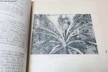 熱帯植物写真集・5冊/工藤弥九郎/180枚の写真の大部分は台北植物園内に生育しているのを撮影したものでいずれも立派なものばかり/昭和8年_画像4