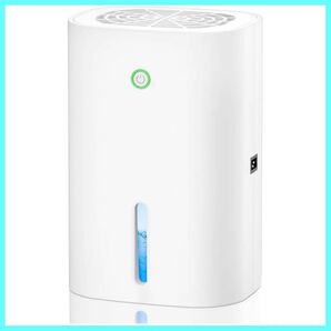 除湿機 小型 ペルチェ式 1000ml 湿気&梅雨対策 満水自動停止 省エネ