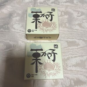 信州小布施 ひとくち栗かの子 80㌘×2 桜井甘精堂
