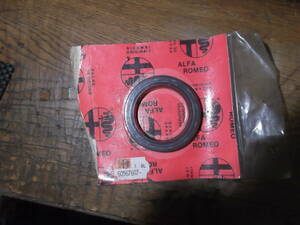  Alpha Romeo 60567607 oil seal 