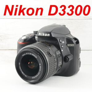 ★シャッター回数2858枚★スマホ転送★Nikon D3300 0863