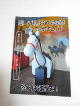 消えゆくローカル遊園地を追う 第5号 群馬編 同人誌 / 華蔵寺公園遊園地 渋川スカイランドパーク 桐生ヶ丘遊園地 / 日産リーフ試乗記 併録_画像8