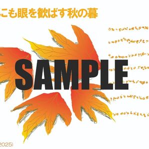 ポストカード「紅葉便り2(2025)」