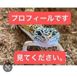 自己紹介です。 プロフィール非売品 (こちらへのコメント入力はご遠慮ください。) 入力可能数に限度があるため