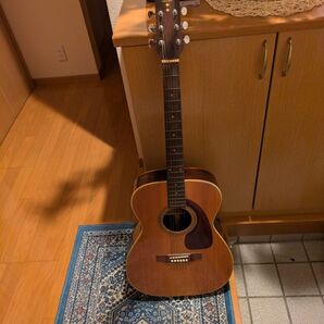 TAKEHARU GUITAR FT-150 鈴木バイオリン製