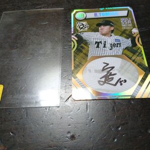 阪神タイガース2025 第2弾 オンサイトカード 富田投手 直筆サイン入り