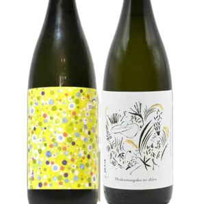 日本酒 手取川 飲み比べ 1800ml