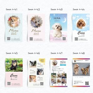 名刺印刷 ペット名刺印刷 スタンプカード作成