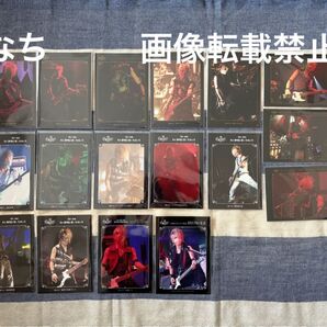 ガゼット the GazettE れいた REITA ライブフォト デジフォト