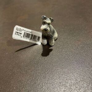 ミニチュアプラネット ミニチュアシュナウザー
