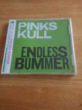 【送料込み!　新品未開封 PINK SKULL『ENDLESS BUMMER』】_画像1