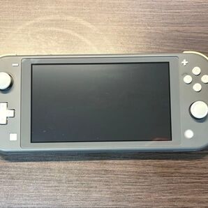 Nintendo Switch Lite グレー ニンテンドースイッチライト 本体