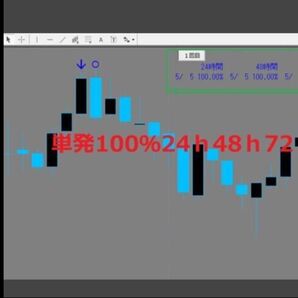 【定価12,000円】期待値の高いバイナリ-で御座います