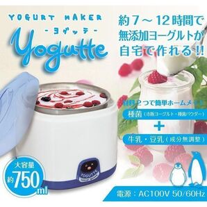 ヨーグルトメーカー ヨグッテ簡単に自家製ヨーグルトが作れるヨーグルトメーカー