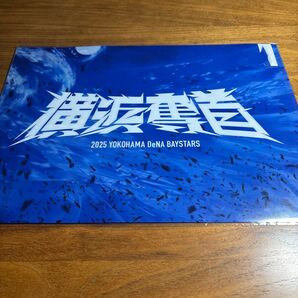 横浜DeNAベイスターズ 2025 クリアファイル