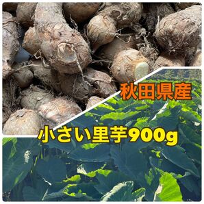 秋田県産 小さい里芋900グラム 土垂 農家直送