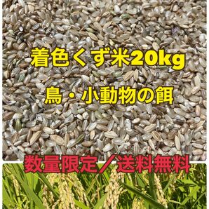 秋田県産 あきたこまちの着色くず米20kg 農家直送