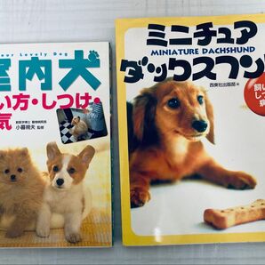 室内犬 飼い方・しつけ・病気/ミニチュアダックスフンド 飼い方・しつけ・病気 2冊セット