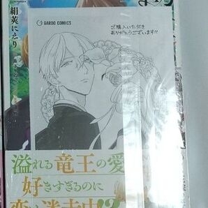 勘違い結婚 偽りの花嫁のはずが、なぜか竜王陛下に溺愛されてます!? 2